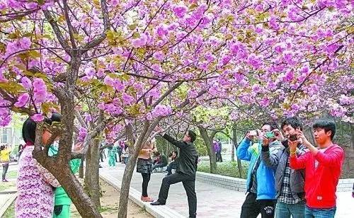 亚洲成人网导航 你得确保设备有防病毒软件