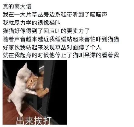 成年妇女观看在线视频