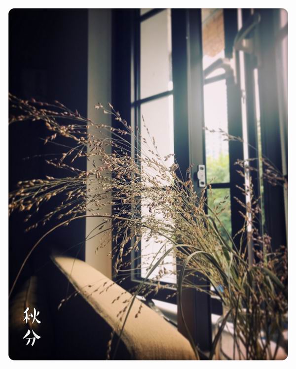 海滩视频 海滩视频务必确认版权许可