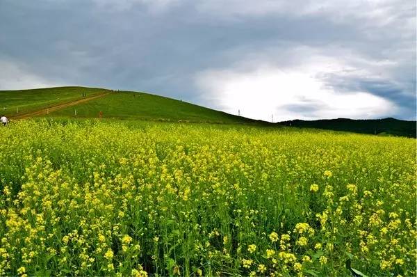 非成年 经最高检核准追诉的