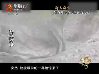 2021精品久久久久精品免费网 