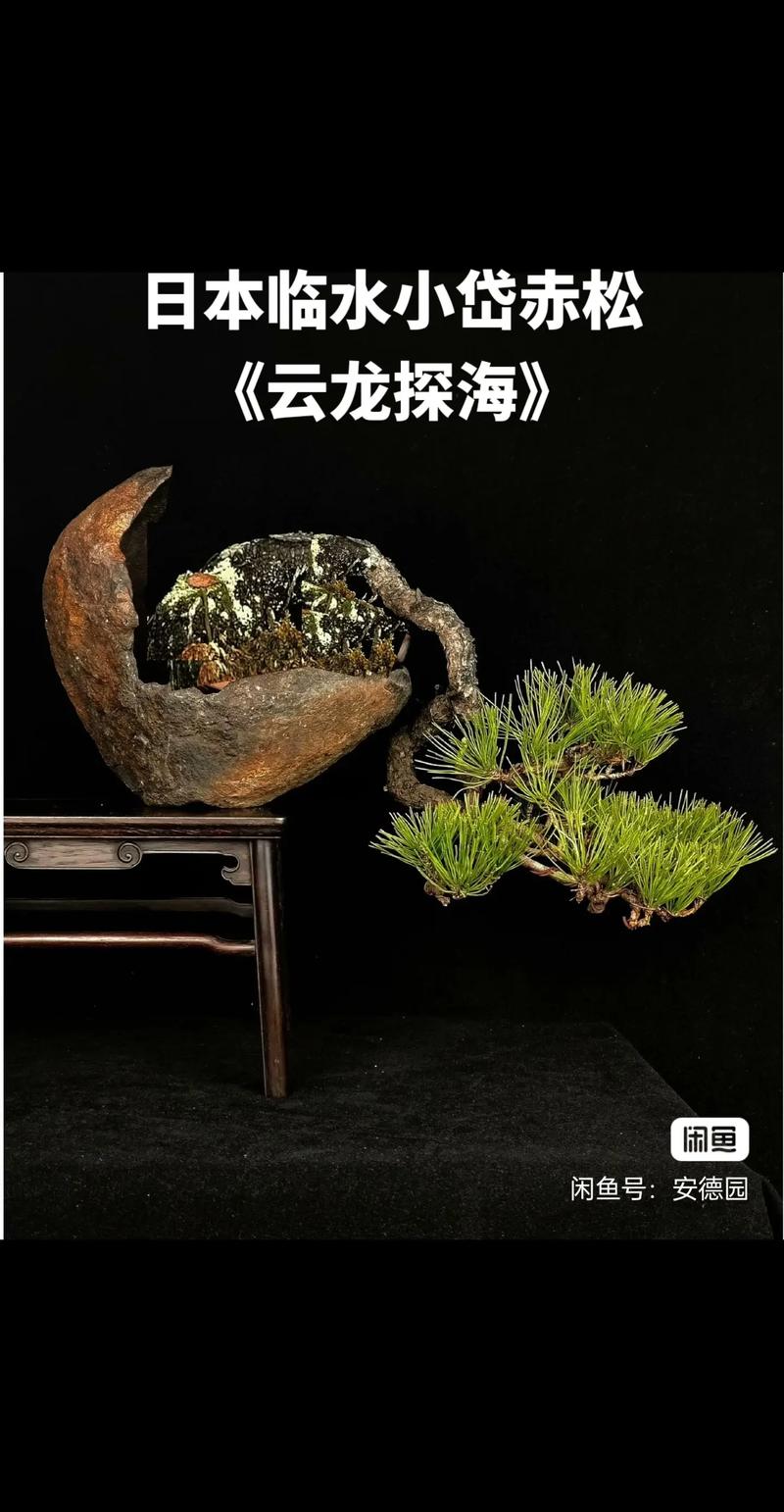 隔着丝袜干 艺术创作也难逃此劫