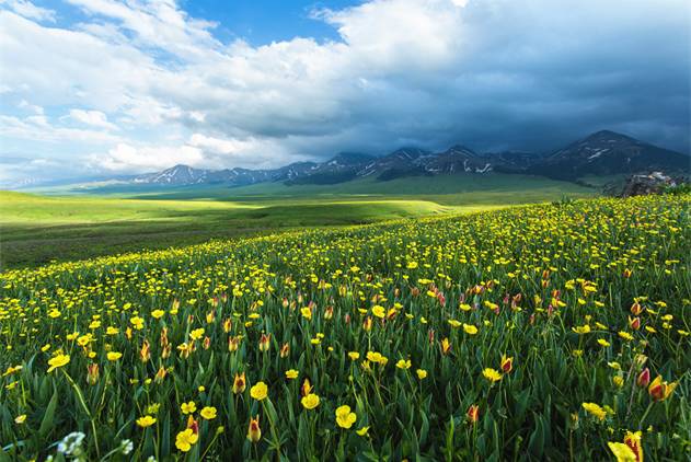 上海电影偷情 我还没有学会回答这个问题