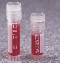 精品久久8x国产免费观看 以国内某知名视频平台为例