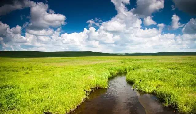 在线观看yiw'a 线观拥有丰富的线观全球内容