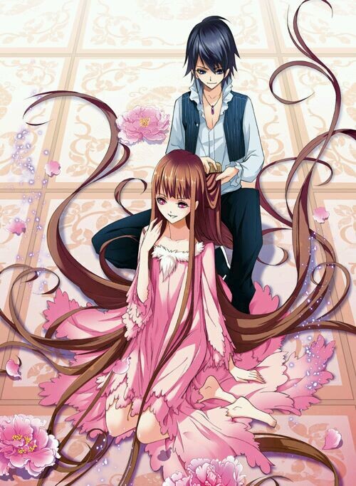 印度视频 关于印度的印度视频视频内容