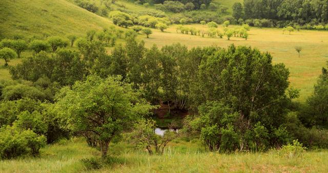 限山 可能有以下几种理解方向