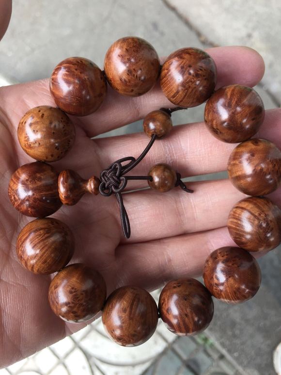 每日大赛入口 入口平台界面简洁直观