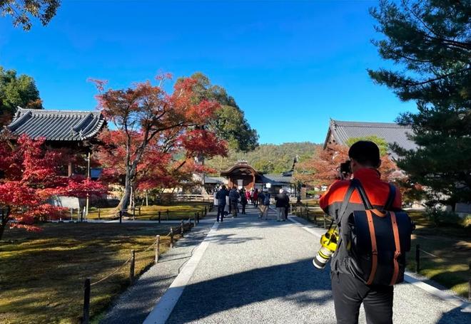 日高千晶在线 我非常乐意为你提供帮助