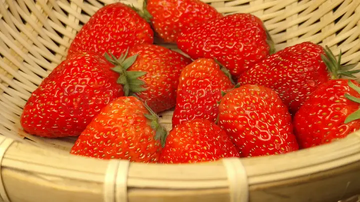 51黑料暗网每日大赛