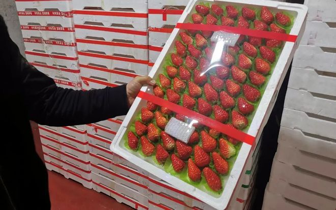 51黑料暗网每日大赛 平台界面通常设计简陋