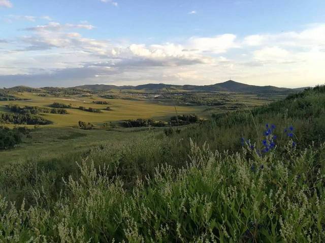 miss高清 超高清（4K）等选项