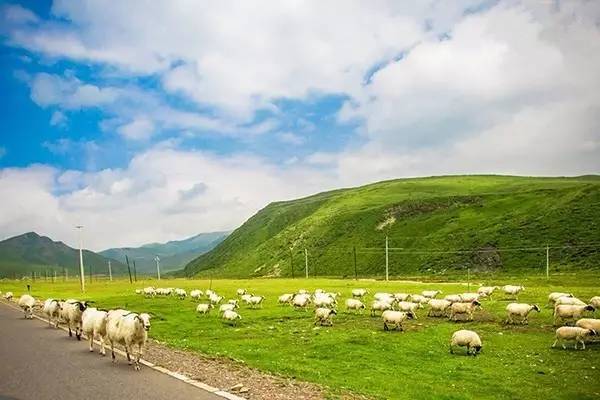 巨大电影在线观看 咪咕视频等也有大量正版资源