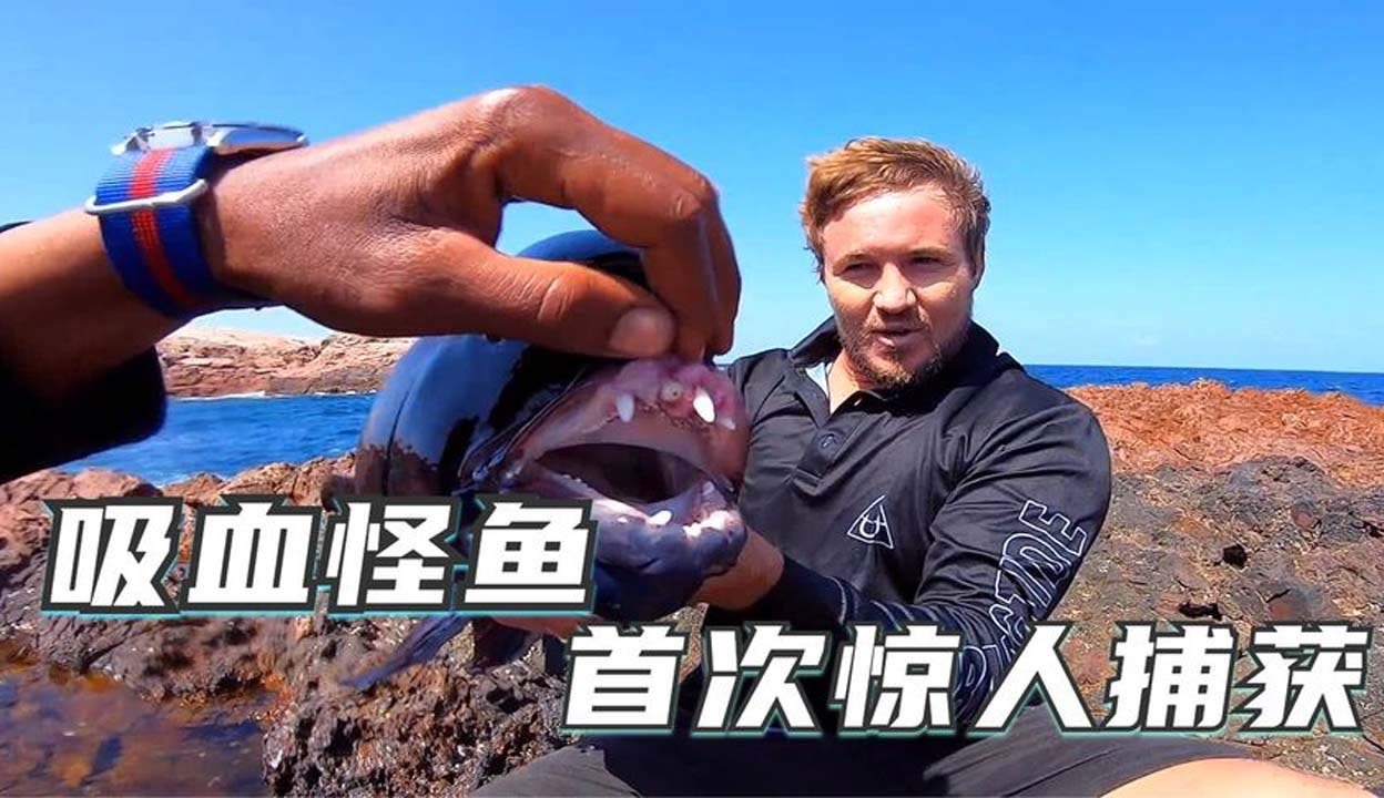 9191国语精品高清在线