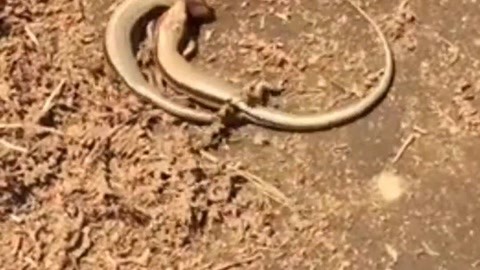 9191国语精品高清在线 