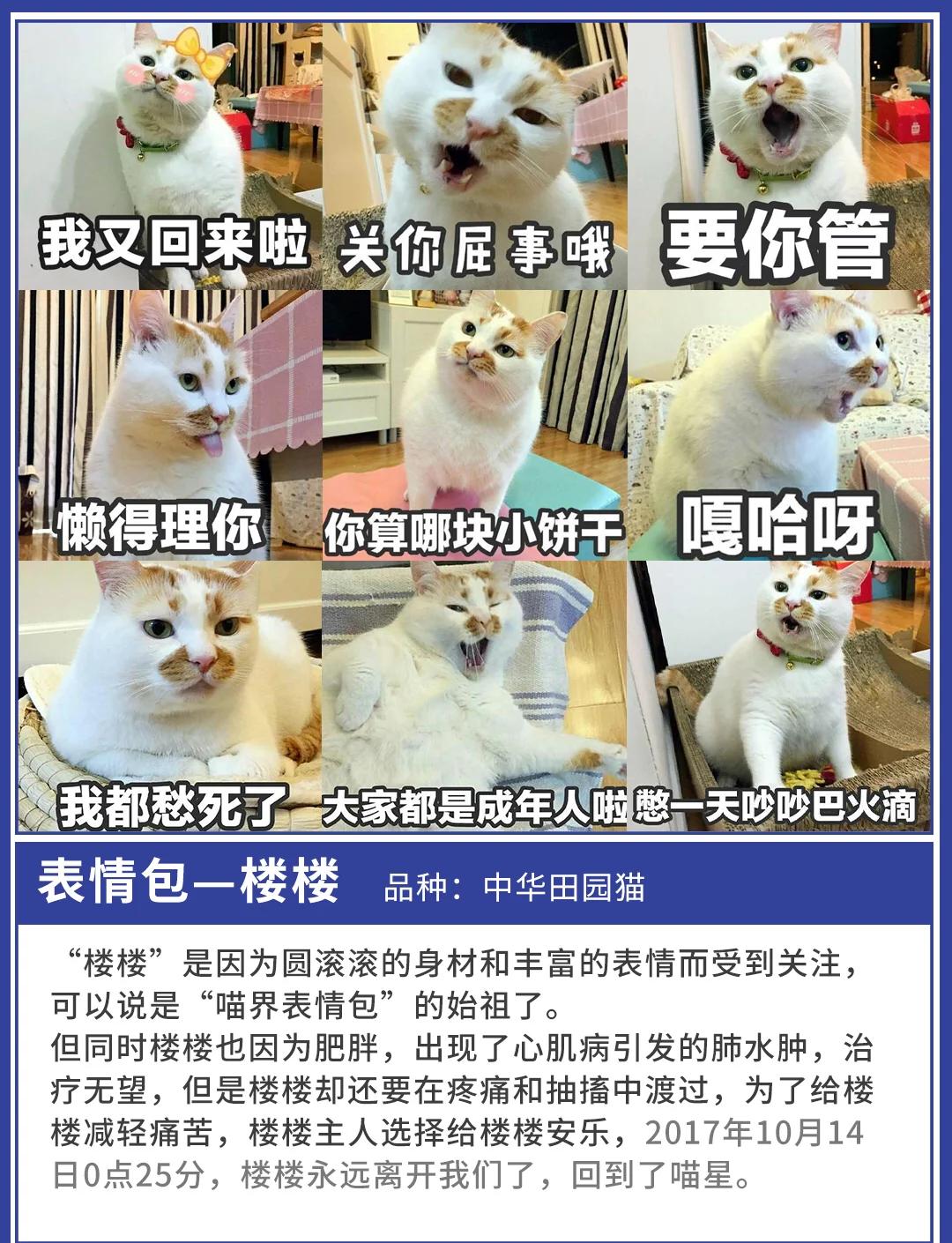 今日吃瓜每日大瓜，今日吃瓜每日大瓜91