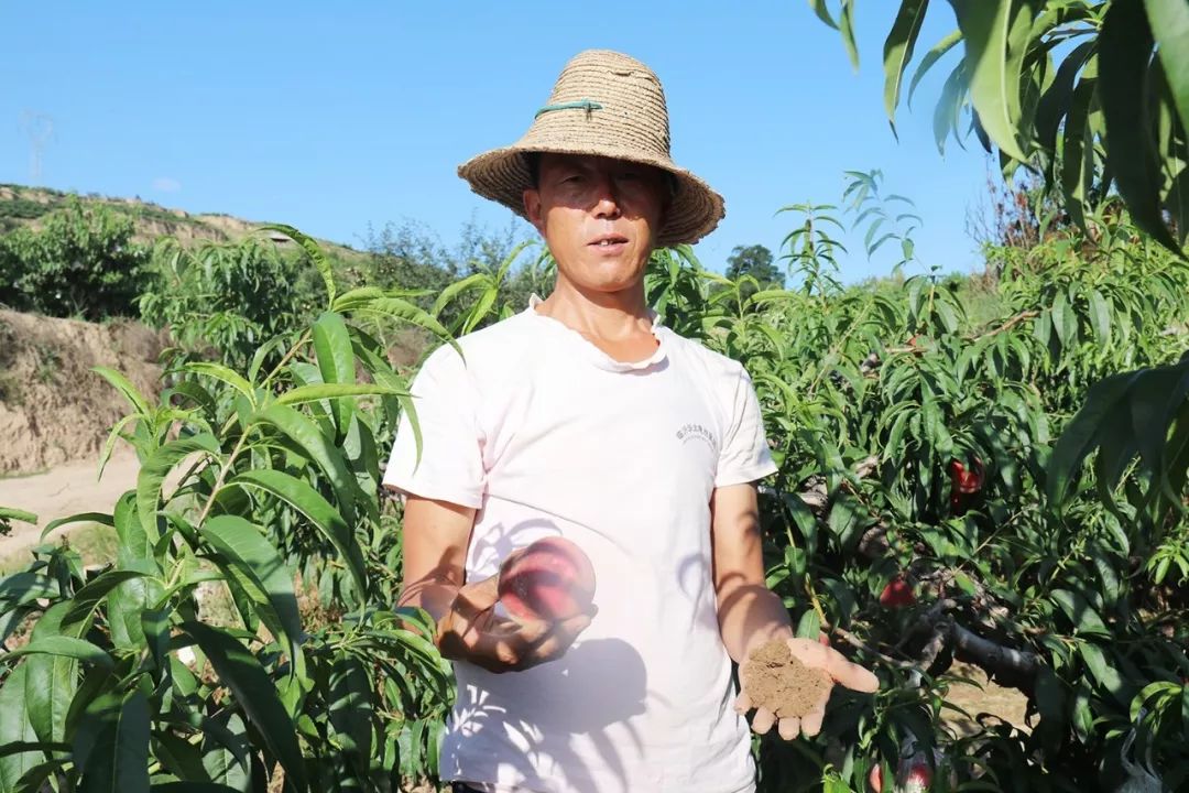 三个一起我是怎么C你的动漫