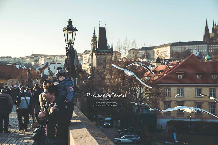 顶级神豪林云刚刚更新八一中