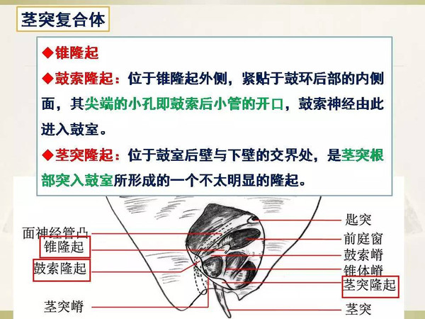 临清视频 我还没有学会回答这个问题