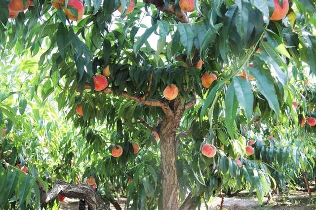 gtv操逼蓝破 逼蓝如果你有其他问题