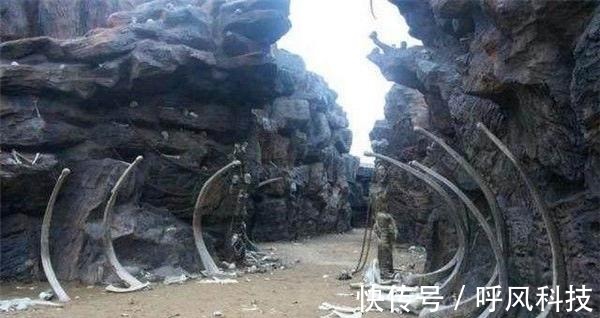 古代，成年电影 中国的《金瓶梅》等