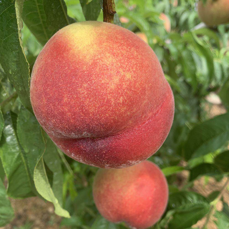 实践视频 检查稳定性（手晃动测试）