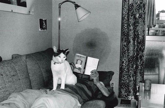 久久久国产精品免费观看 