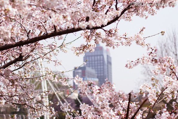 大陆高清视频 大陆确保网络内容健康向上