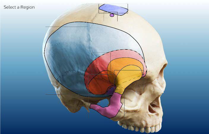 电影在线看 电影线更新速度较快