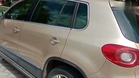 南男同视频 同视包括个人的南男性取向