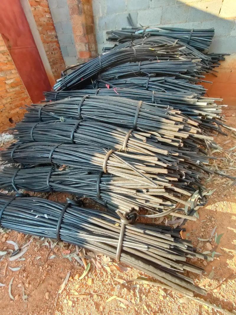 欧美亚洲视频在线二区