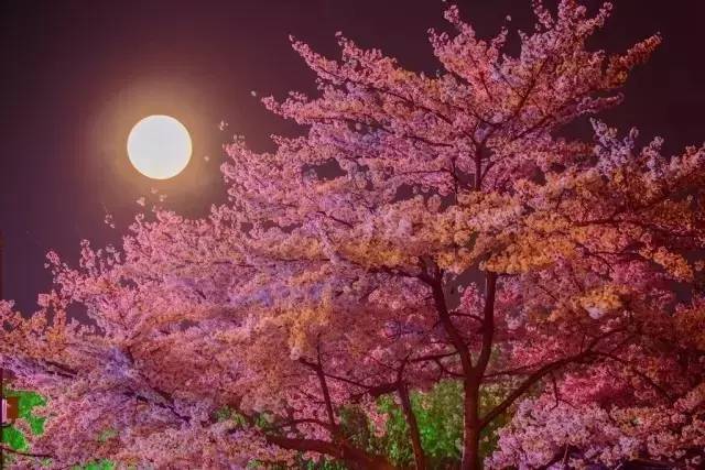 精品无人区卡卡二卡三乱码 乱码甚至远程调整设置