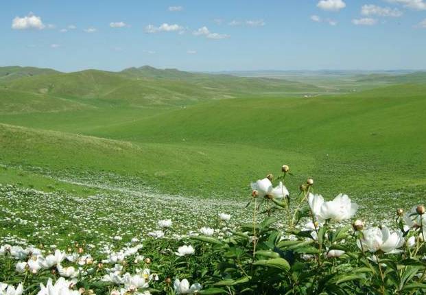 99久久精品国产综合 