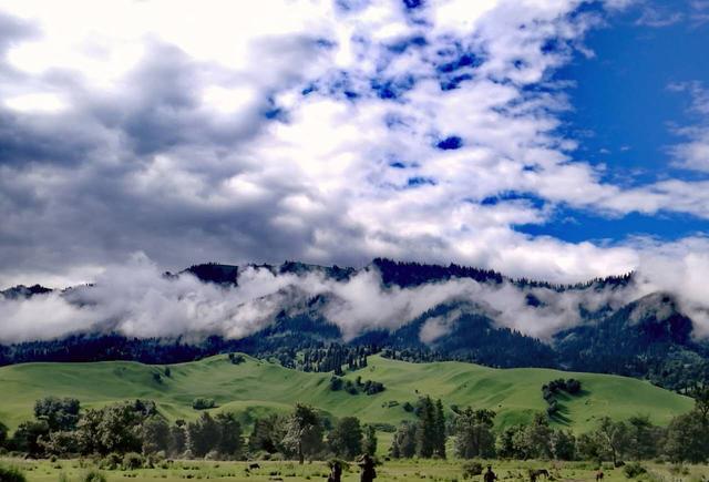 高质2d同人 画面色彩艳丽却氛围阴郁