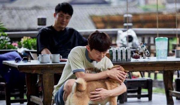 yw视频在线观看.com