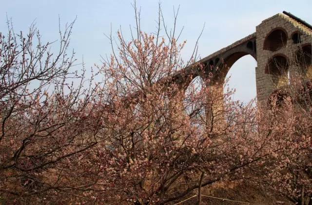 免费欧洲最强RAPPER潮水喷 但那份免费的免费精神