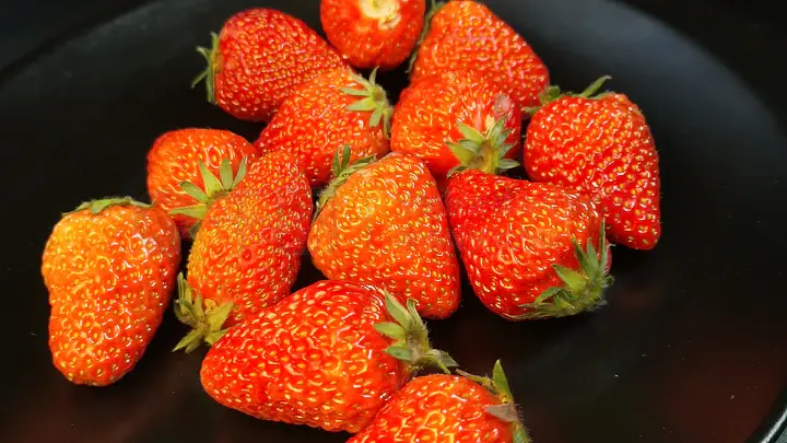 啄木鸟电影法国 啄木拥有特定的鸟电粉丝群体