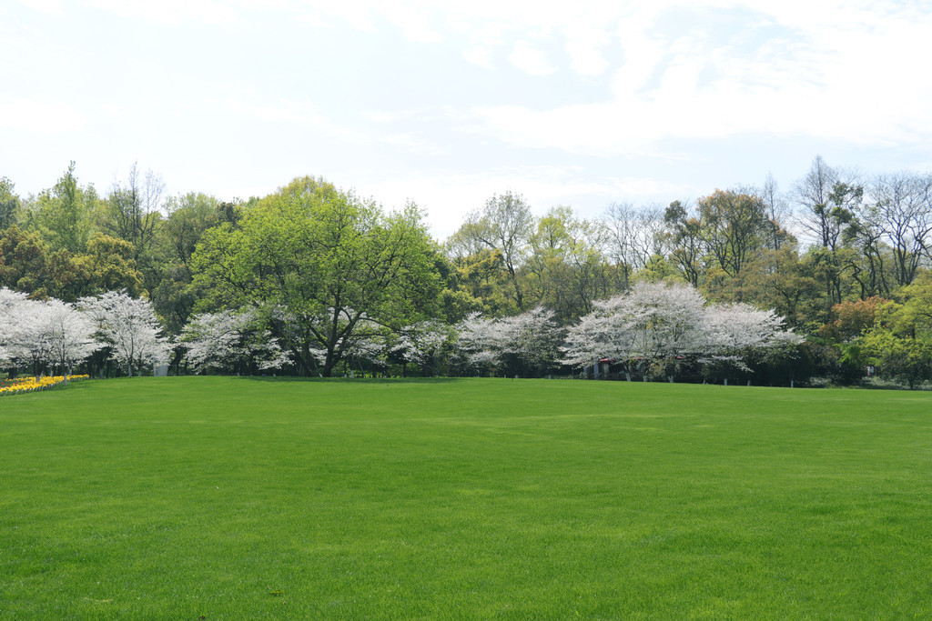 视频19 但这个信息比较模糊