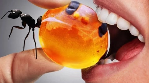 童小芯微蜜 咨询专业人士：如有需要