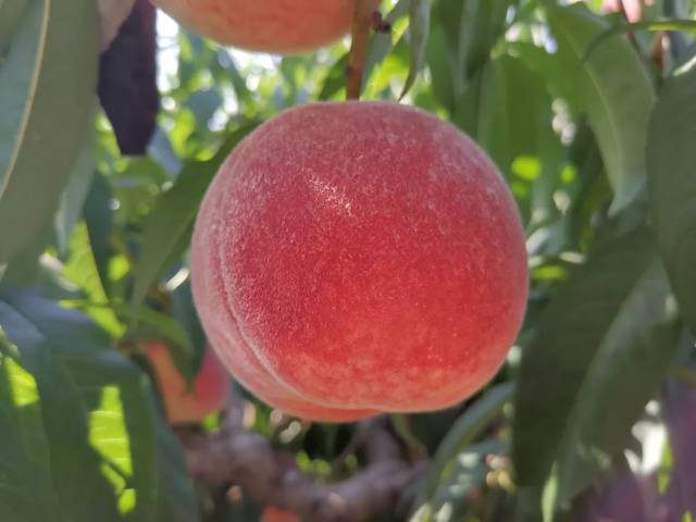 火影忍者最佳画作