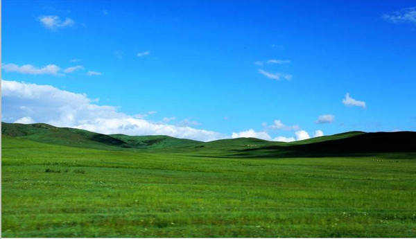 南京凌太光电科技有限公司 招标 系统会自动推送新公告