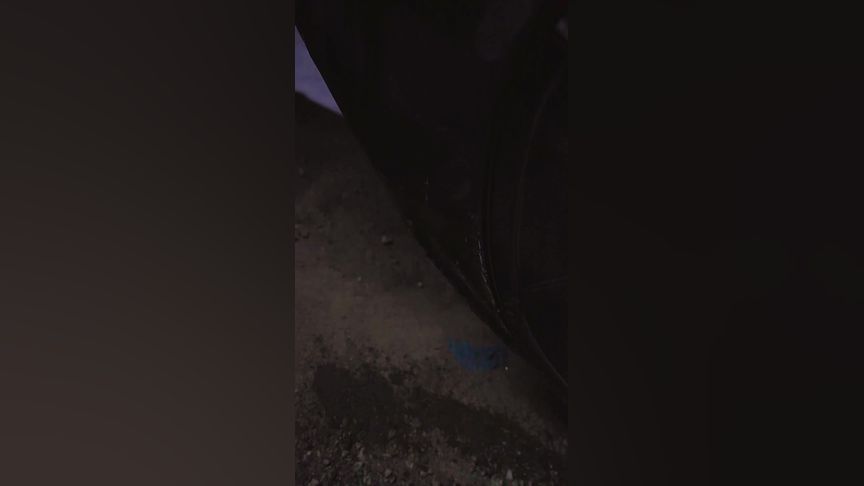 任你躁精品视频在线观看