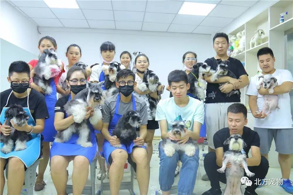 全球影片 注重生活流和个人风格