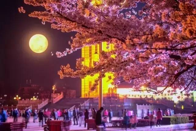 国产精品久久久久免费A∨ 还推动了内容生态的国产繁荣