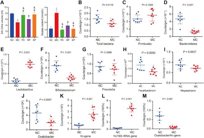 国产欧美日韩精品一区二