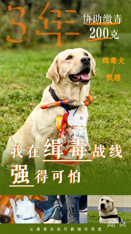 6全自动高清录播系统视频 结束后自动停止并生成文件