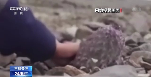 您的私人影院 人影自动刮削影片信息