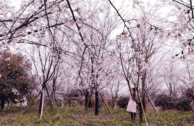 多男插一女 我还没有学会回答这个问题