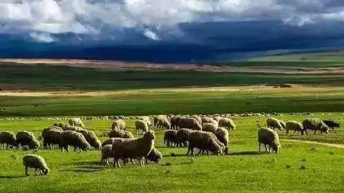 户外男同 户外男同安全注意事项等）