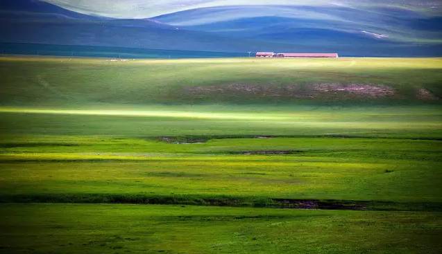 91猫先生185大学生 猫先而非全能型解决方案